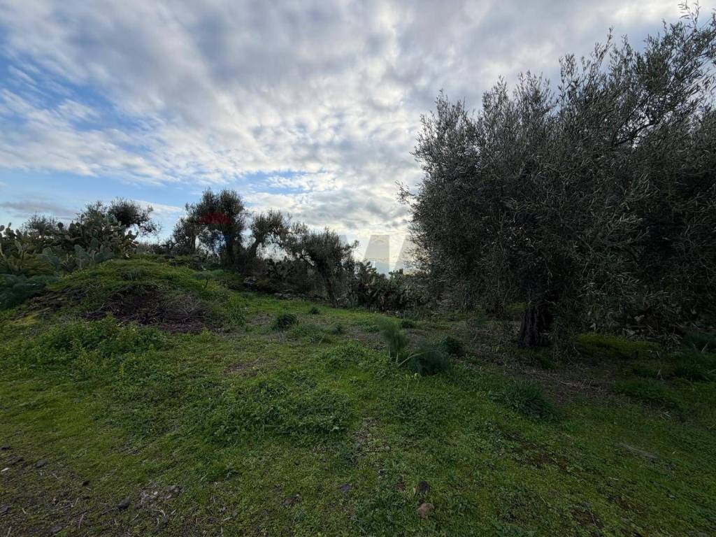 Terreno a Belpasso in ZONA ACQUAROSSA C.DA PETRAIO - Foto 5