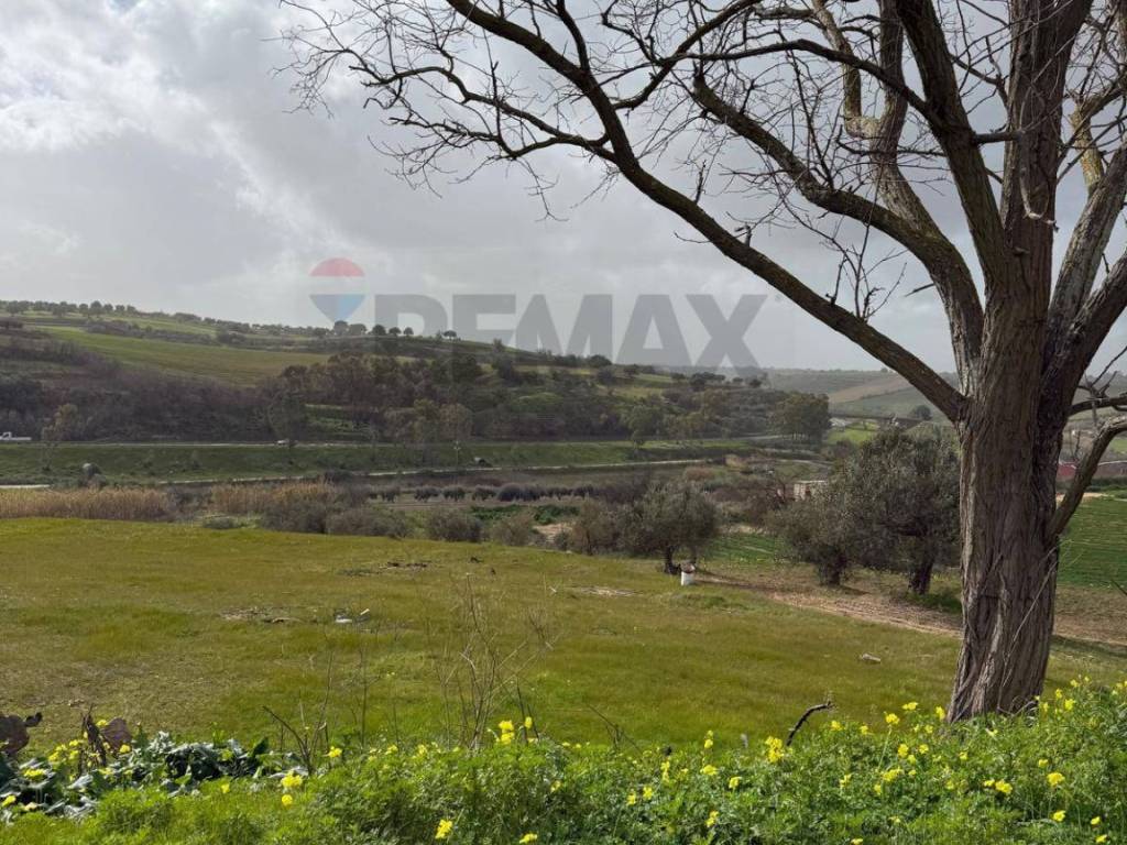 Terreno a Grammichele in via luigi einaudi - Foto 5