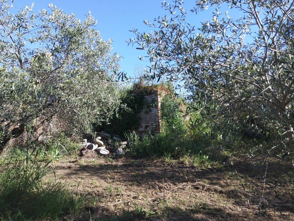 Rustico / casale a Santarcangelo di romagna in Via Tommasa - Foto 5