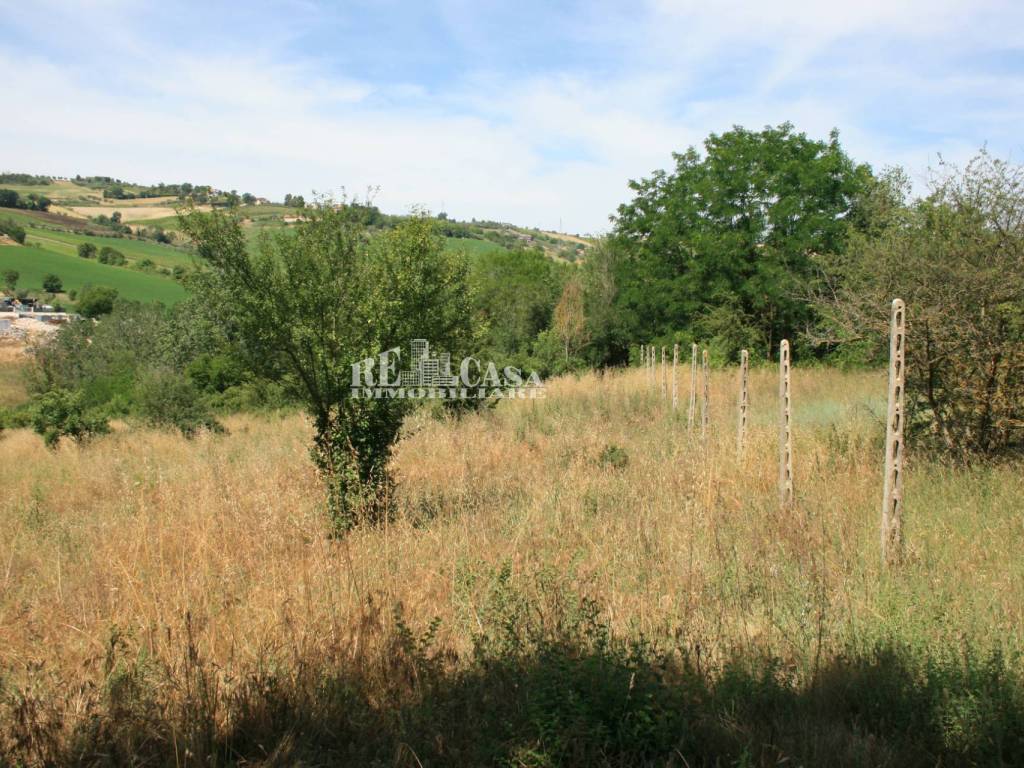 Terreno a Monsampolo del tronto in contrada fontanelle - Foto 2