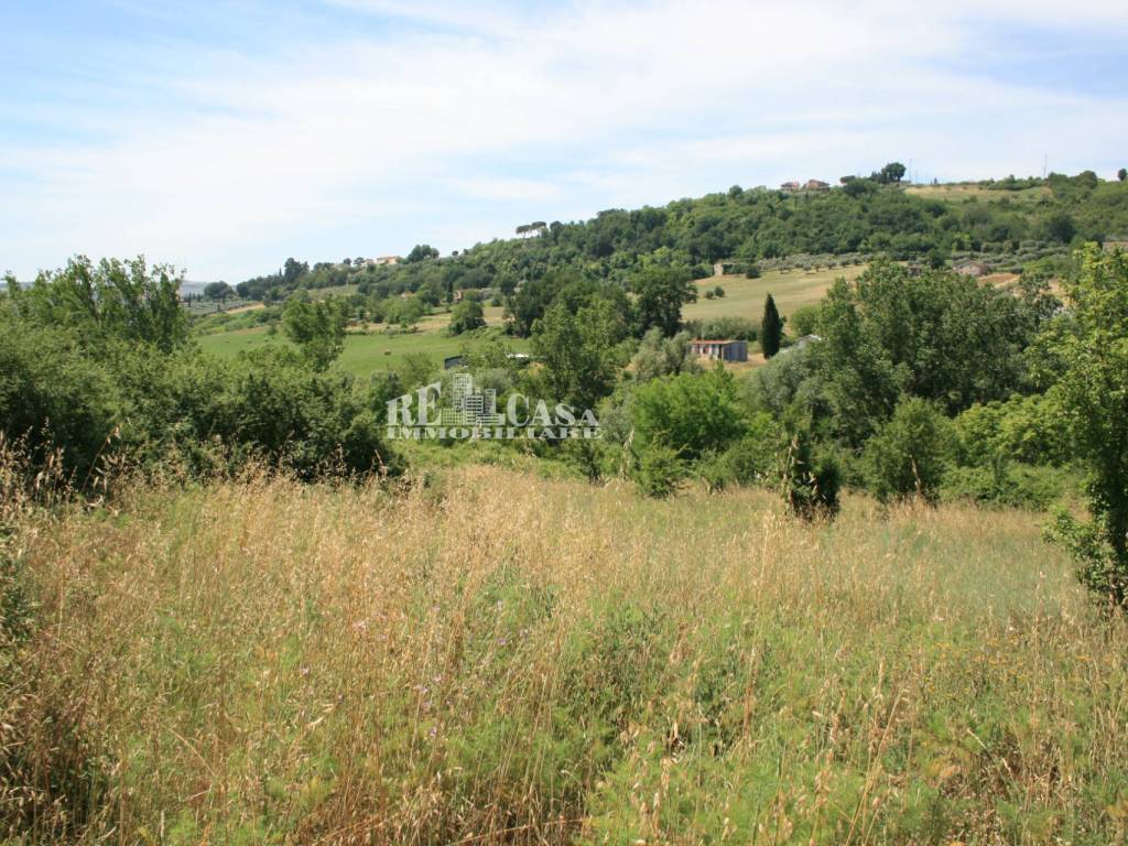 Terreno a Monsampolo del tronto in contrada fontanelle - Foto 3