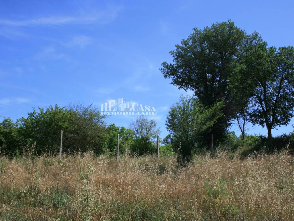 Terreno a Monsampolo del tronto in contrada fontanelle - Foto 5