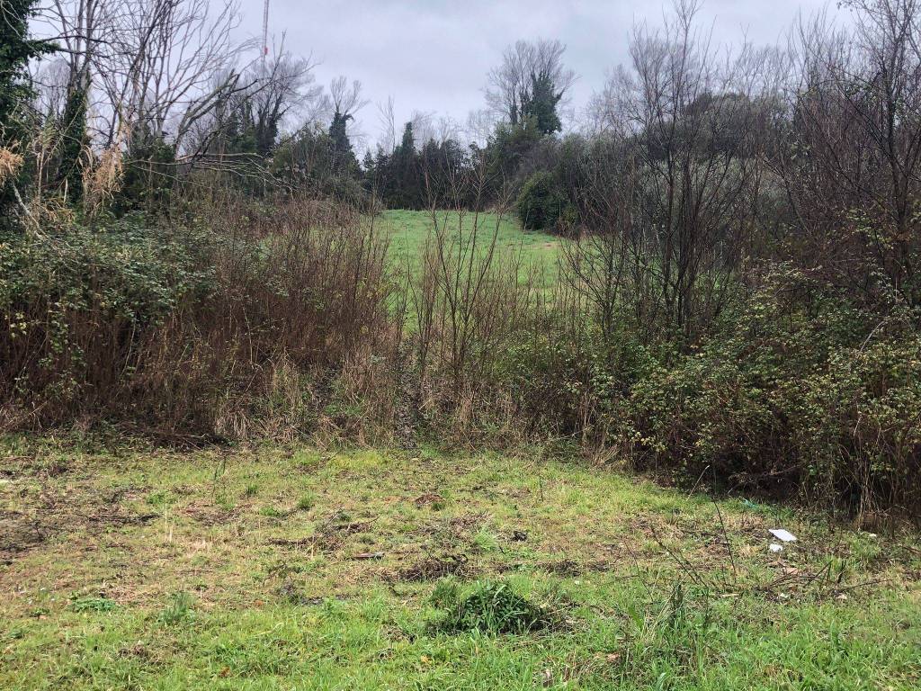 Rustico / casale a Ancona - Foto 4