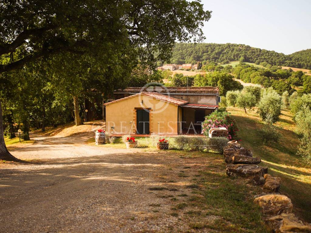 Rustico / casale a Semproniano - Foto 4