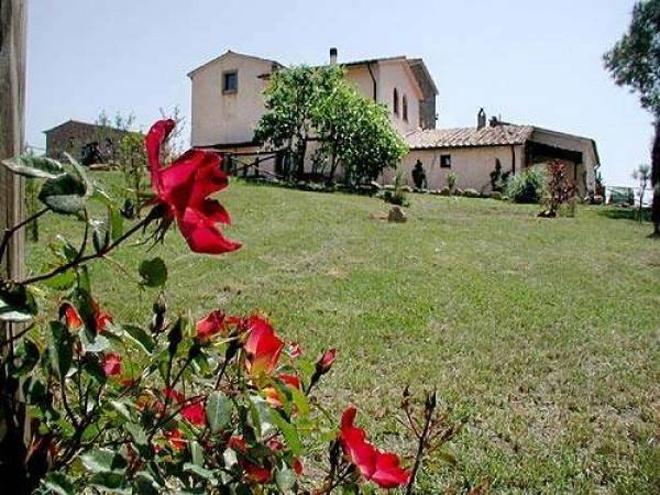 Rustico / casale a Gavorrano - Foto 3
