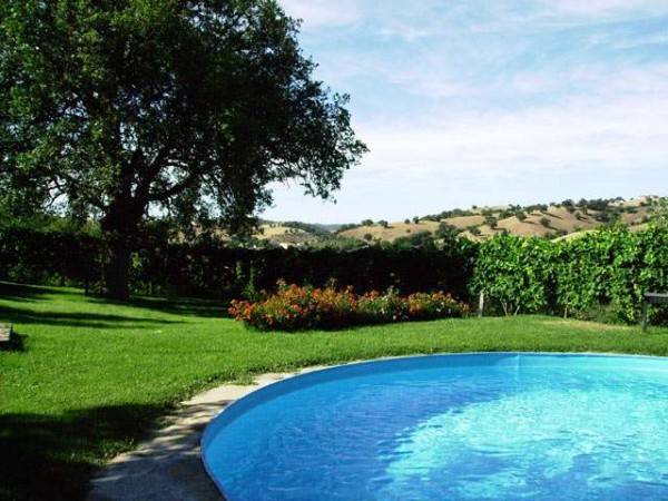 Rustico / casale a Scansano - Foto 3