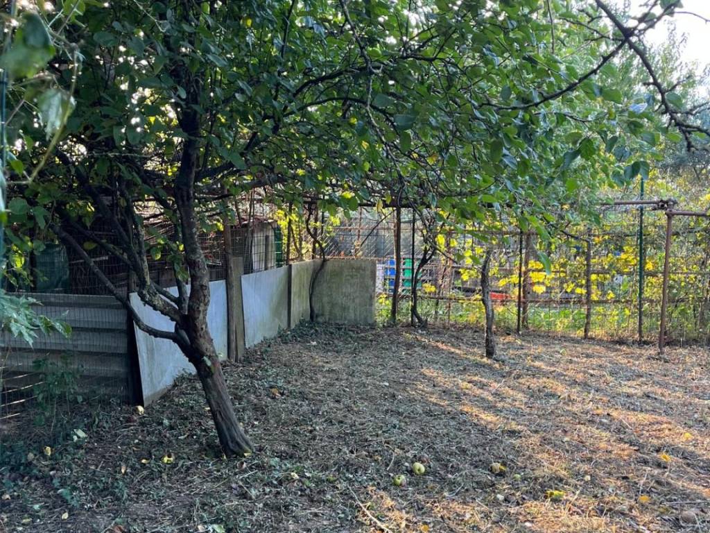 Terreno a Prato - Foto 3