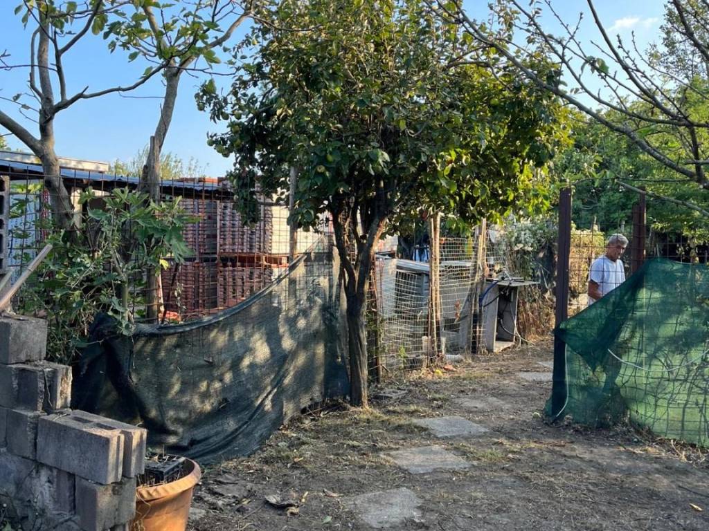 Terreno a Prato - Foto 4