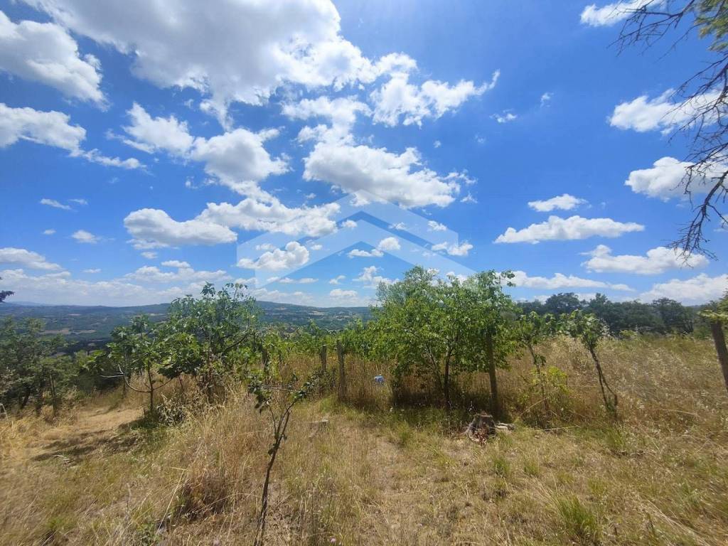 Rustico / casale a Campobasso - Foto 4