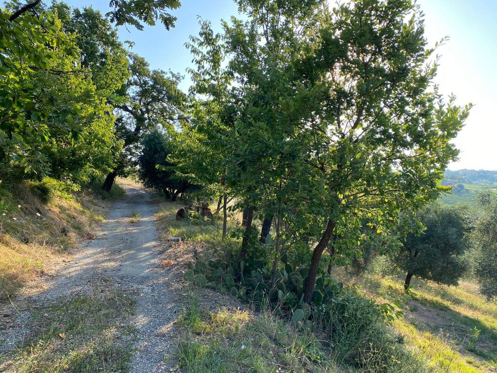 Terreno a Paternopoli in Contrada Casale - Foto 4