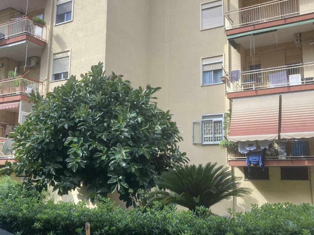 Appartamento a San nicola la strada in Via Giuseppe Saragat - Foto 4