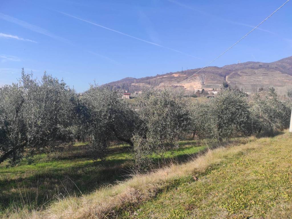 Terreno a Caneva in Via Domenico Rupolo - Foto 2