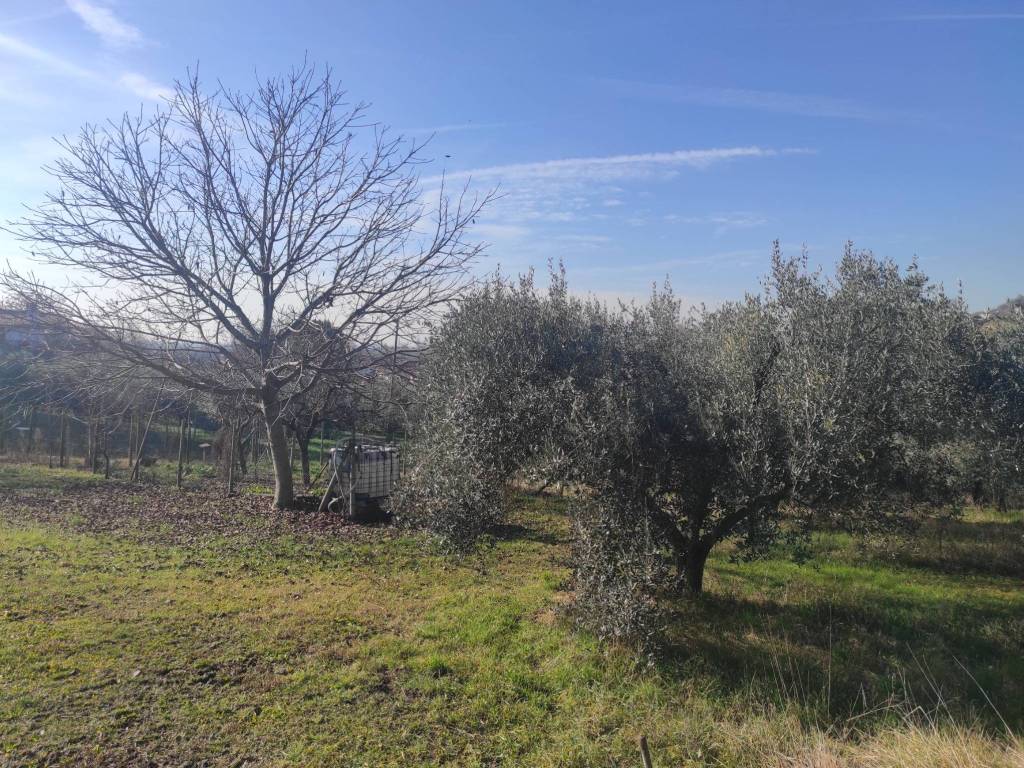 Terreno a Caneva in Via Domenico Rupolo - Foto 3