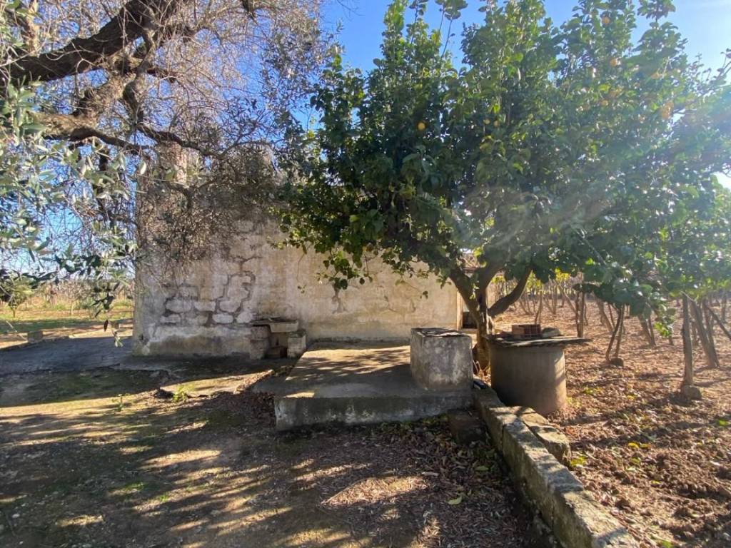 Terreno a Francavilla fontana in Contrada Totaro - Foto 3