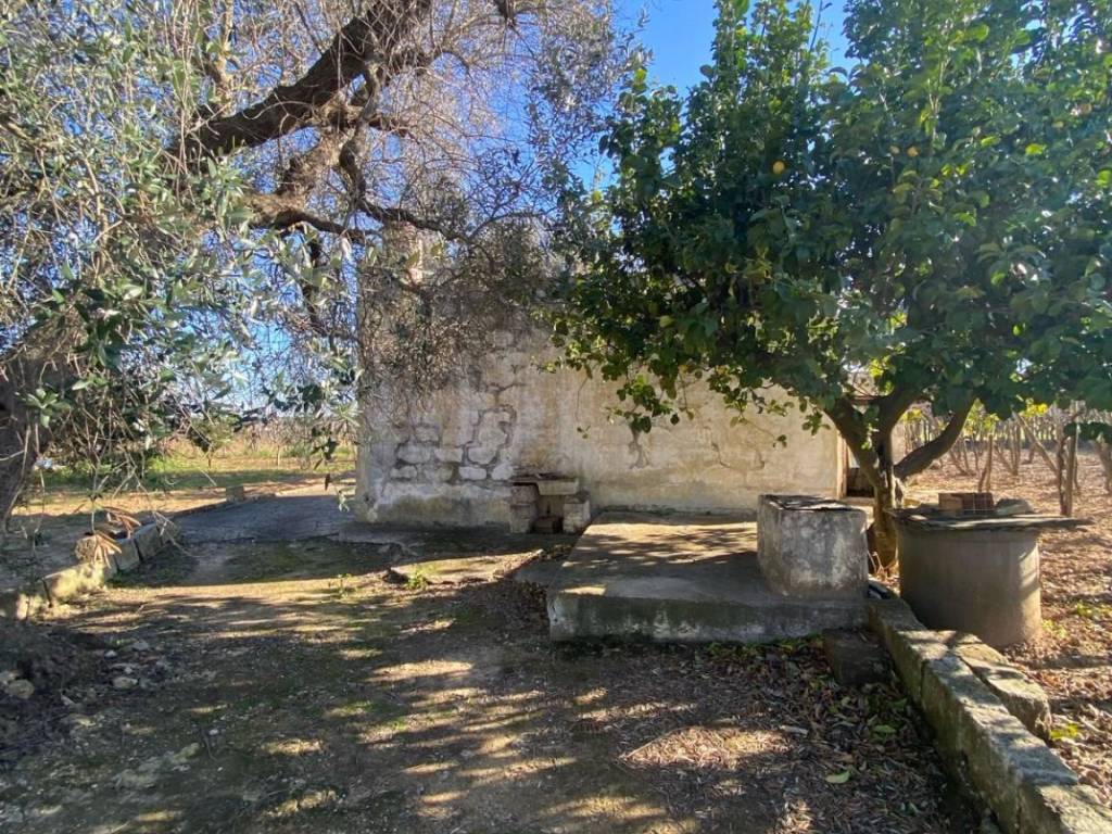 Terreno a Francavilla fontana in Contrada Totaro - Foto 4