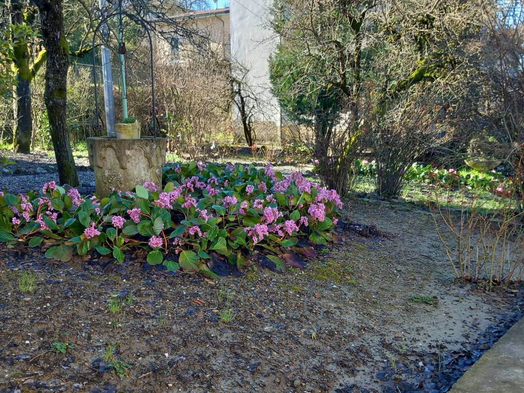 Villa a Lerma in Via Dante - Foto 4