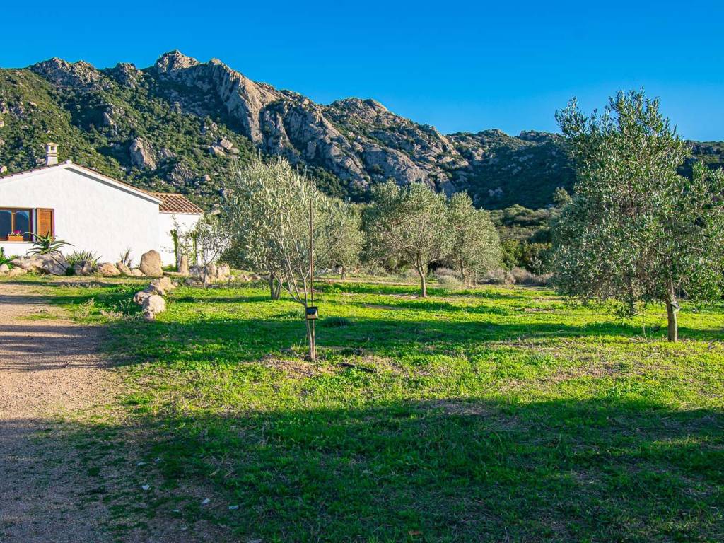 Villa a Golfo aranci in Strada Provinciale Golfo - Foto 3