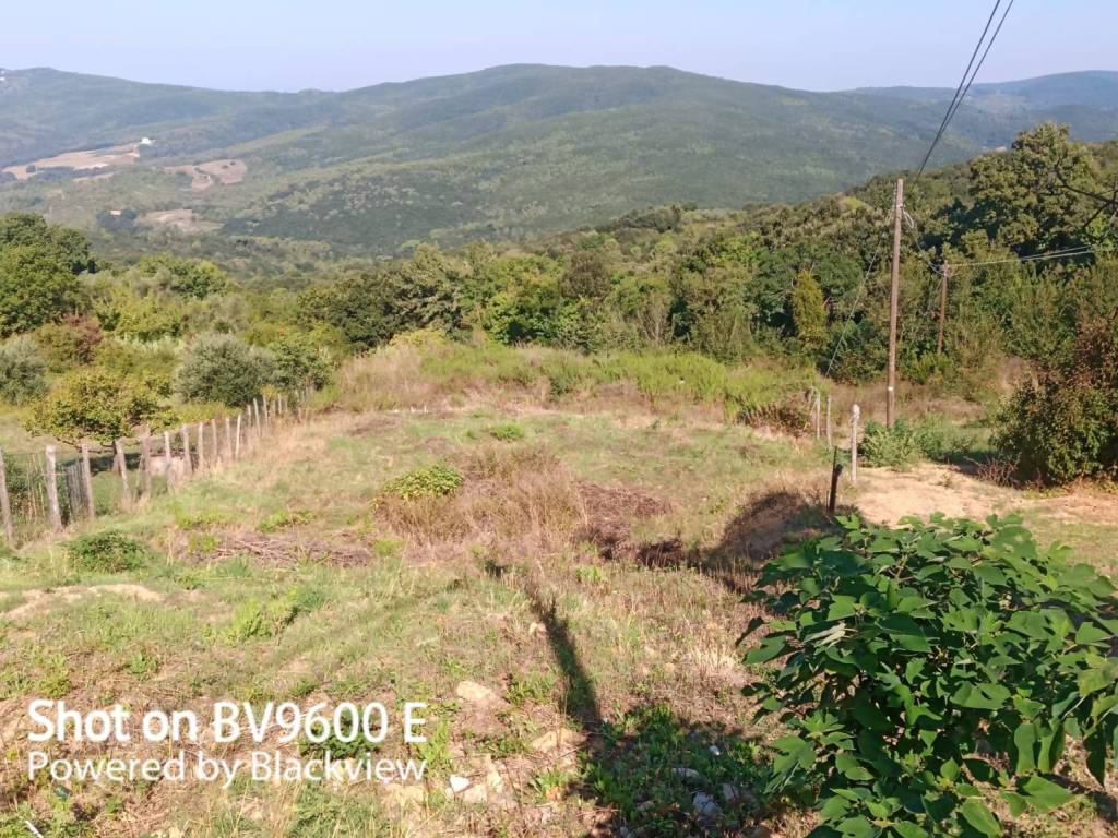 Terreno a Rosignano marittimo in Via Bernardo Buontalenti - Foto 3