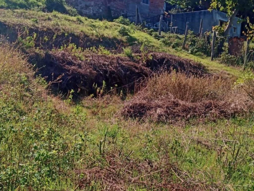 Terreno a Rosignano marittimo in Via Bernardo Buontalenti - Foto 4