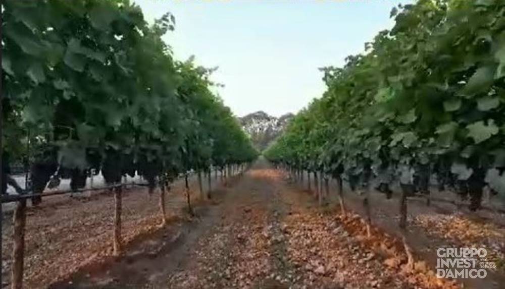 Terreno a Francavilla fontana in Contrada la Franca - Foto 3