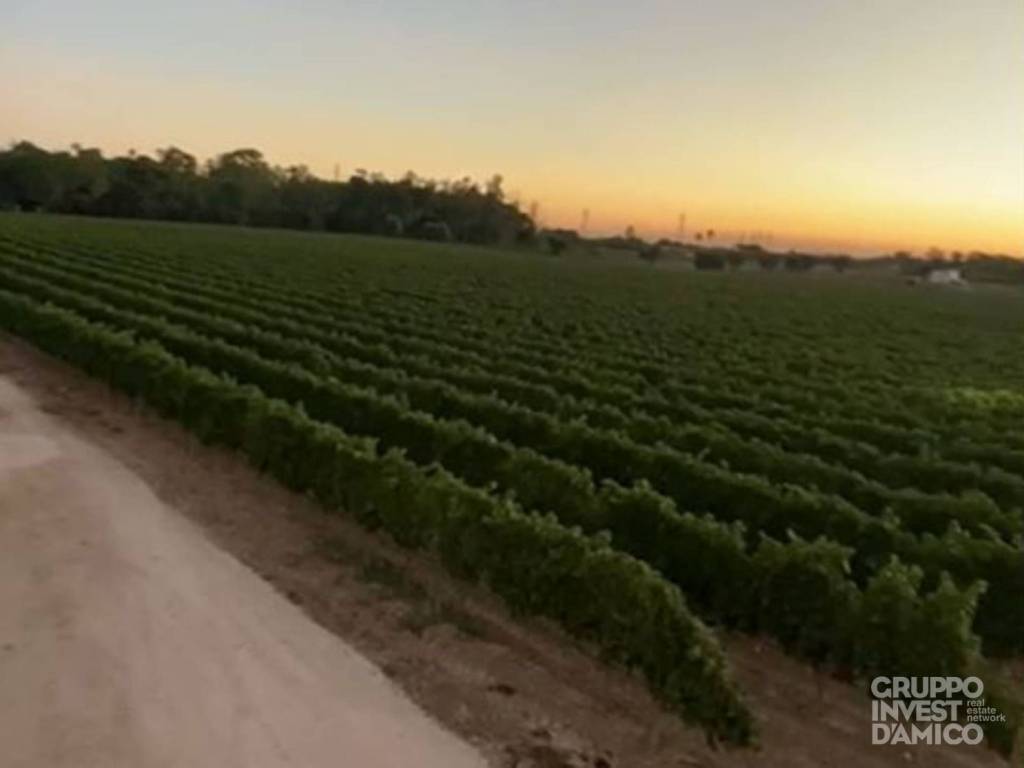 Terreno a Francavilla fontana in Contrada la Franca - Foto 4