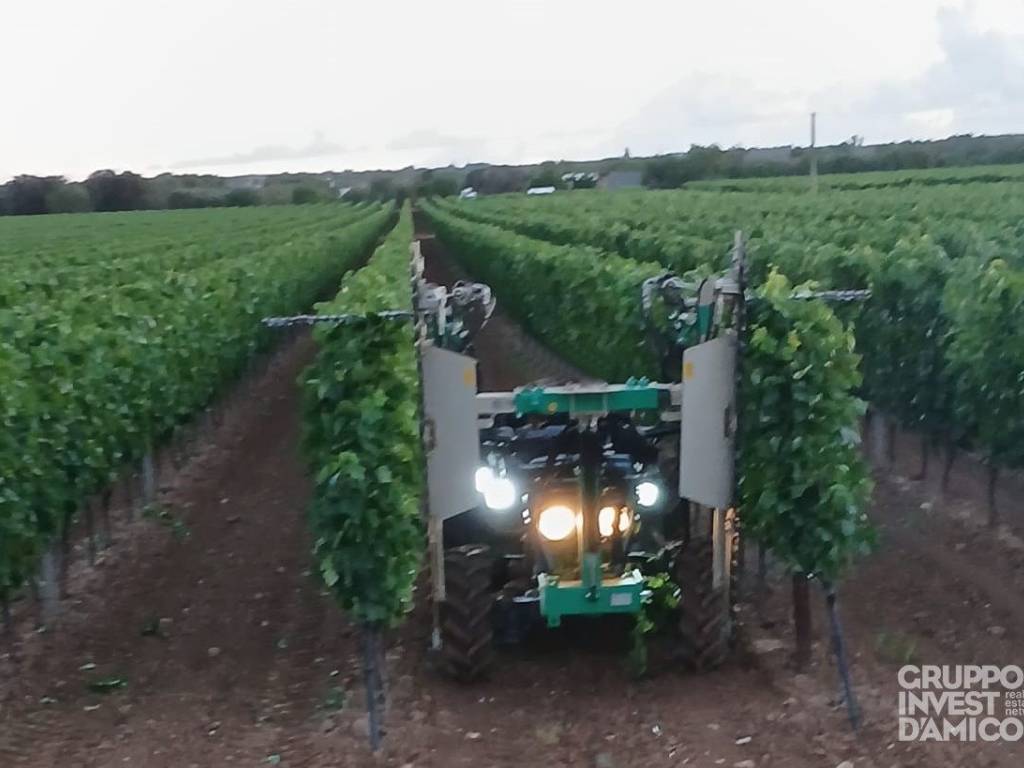 Terreno a Francavilla fontana in Contrada la Franca - Foto 5
