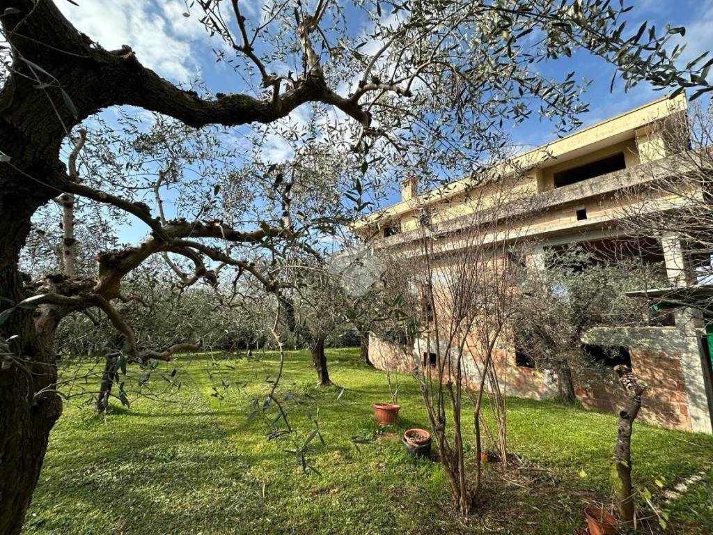 Rustico / casale a Veroli in Contrada Petriglia, 56 - Foto 5