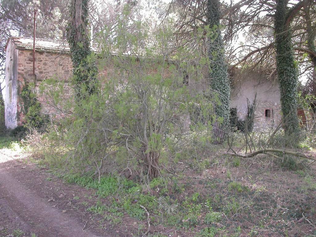 Rustico / casale a Castiglione del lago in Via Roma - Foto 4
