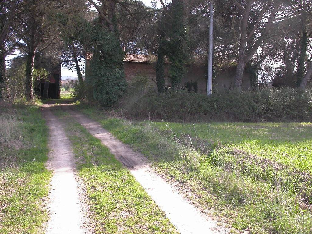 Rustico / casale a Castiglione del lago in Via Roma - Foto 5
