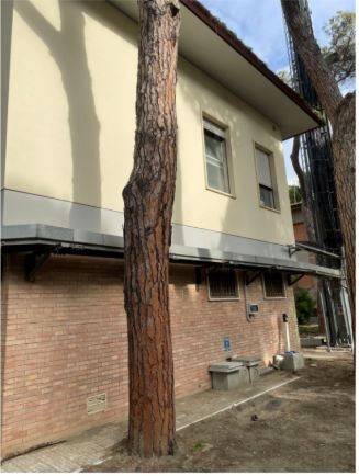 Immobile a Grosseto in Via delle Rose - Foto 2