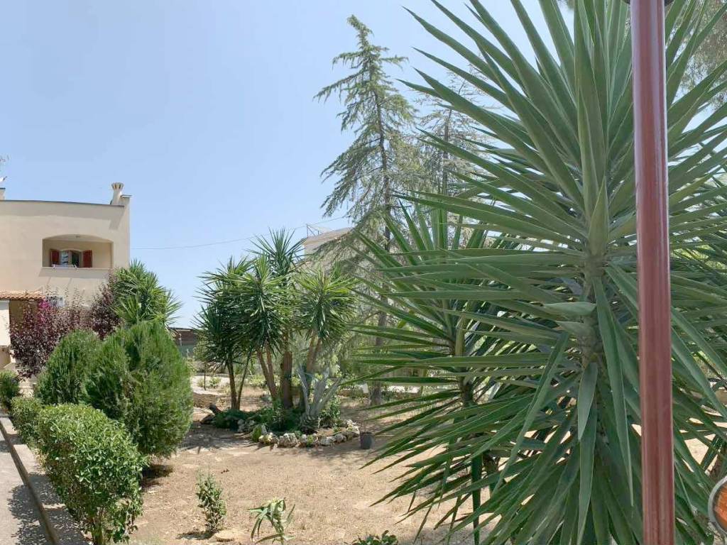 Villa a Corato - Foto 3