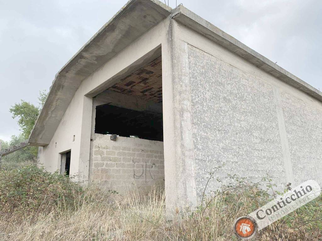 Rustico / casale a Corato - Foto 5