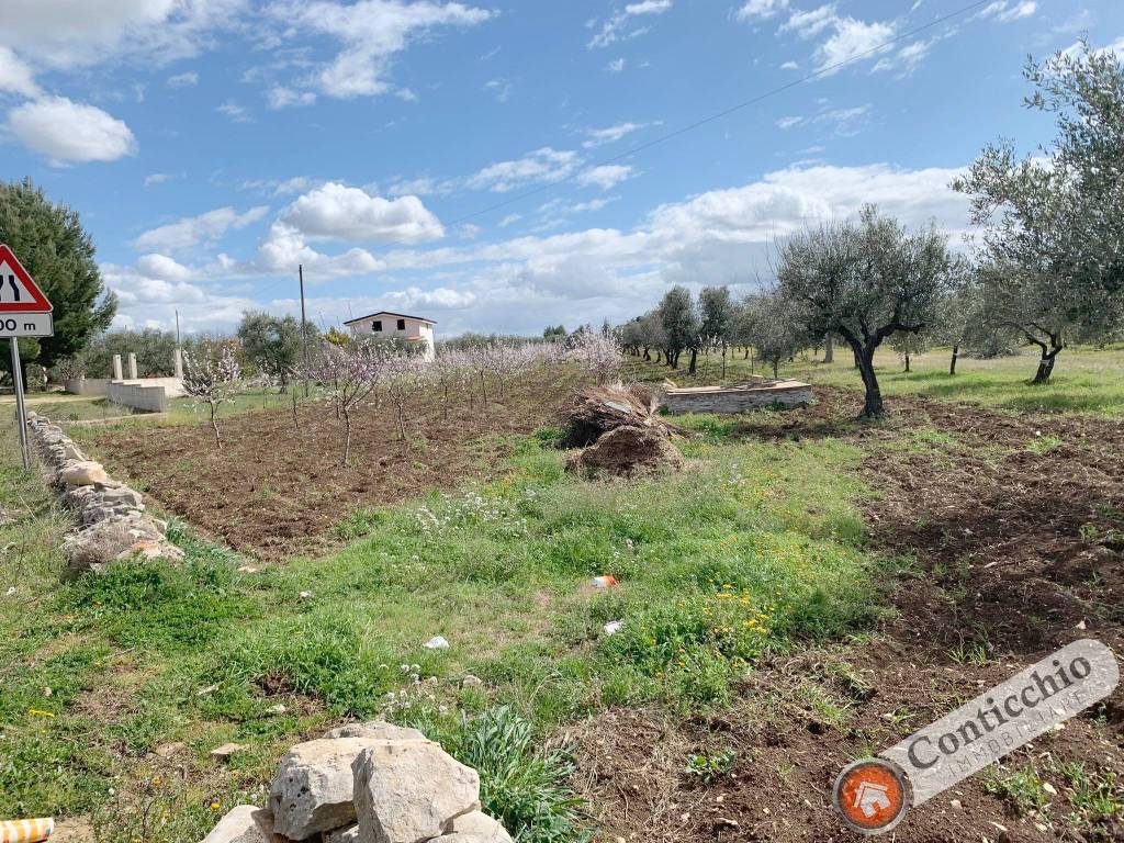 Terreno a Corato - Foto 2