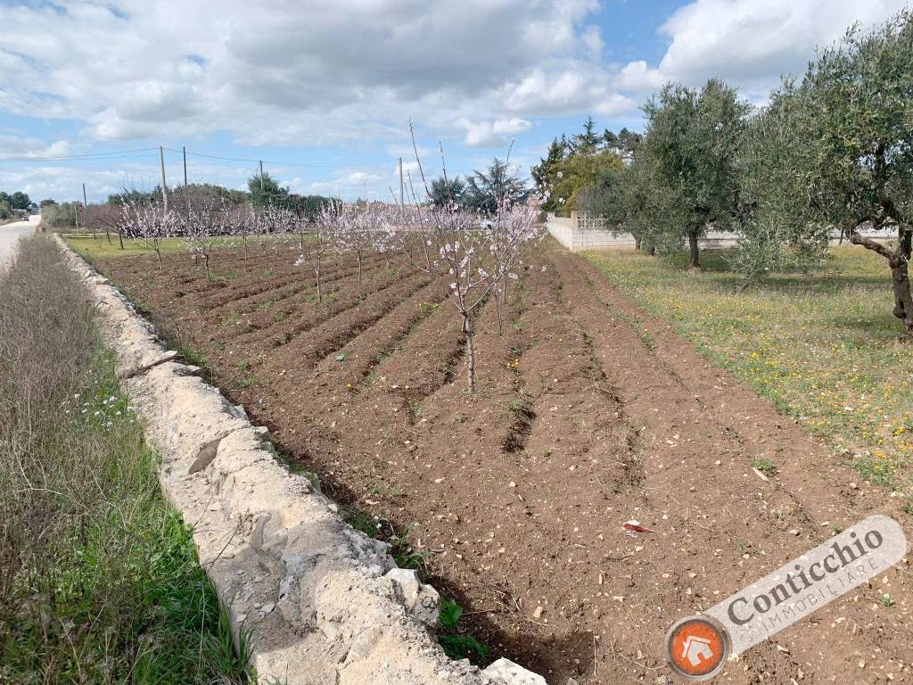 Terreno a Corato - Foto 4