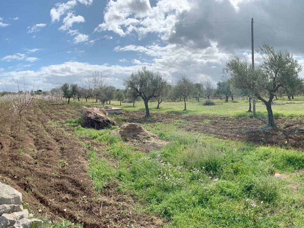 Terreno a Corato - Foto 5