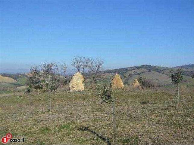 Terreno a Manciano - Foto 2
