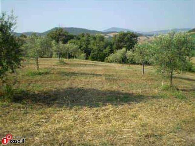 Terreno a Manciano - Foto 3