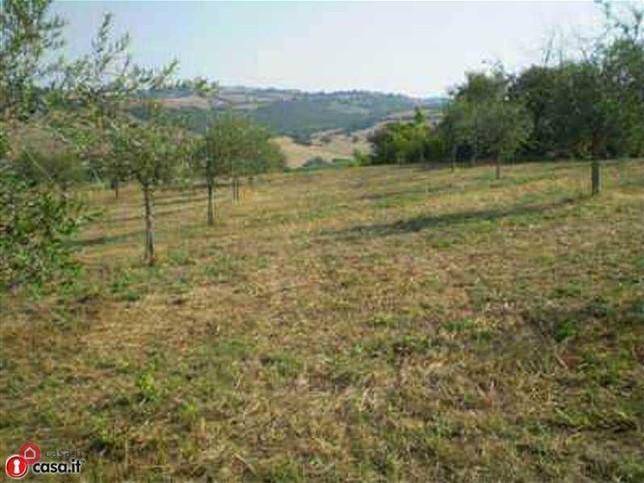 Terreno a Manciano - Foto 4