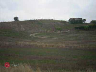 Terreno a Manciano - Foto 3