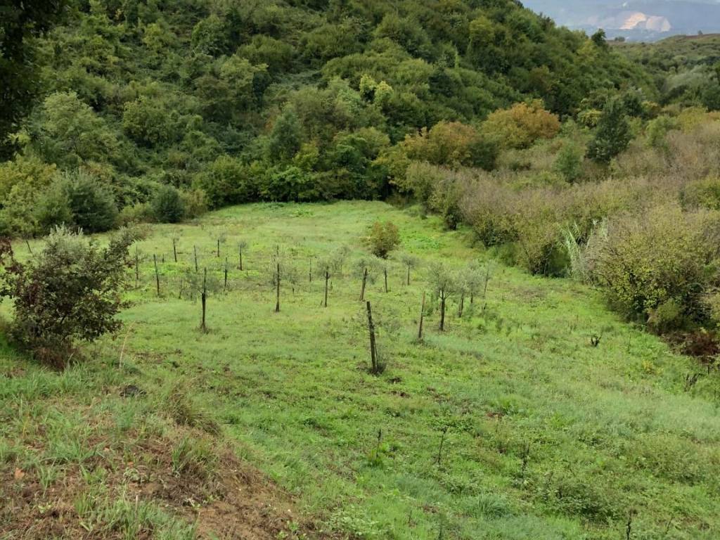 Terreno a Paliano - Foto 2