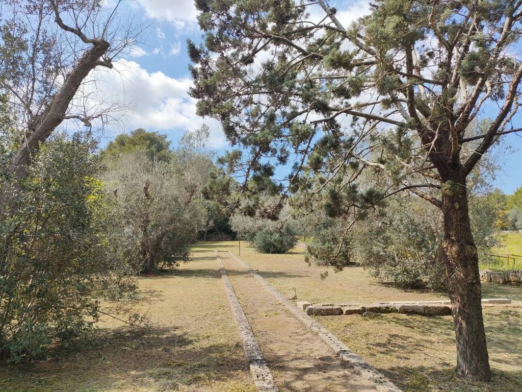 Villa a Neviano in Strada Comunale di Collepasso - Foto 2