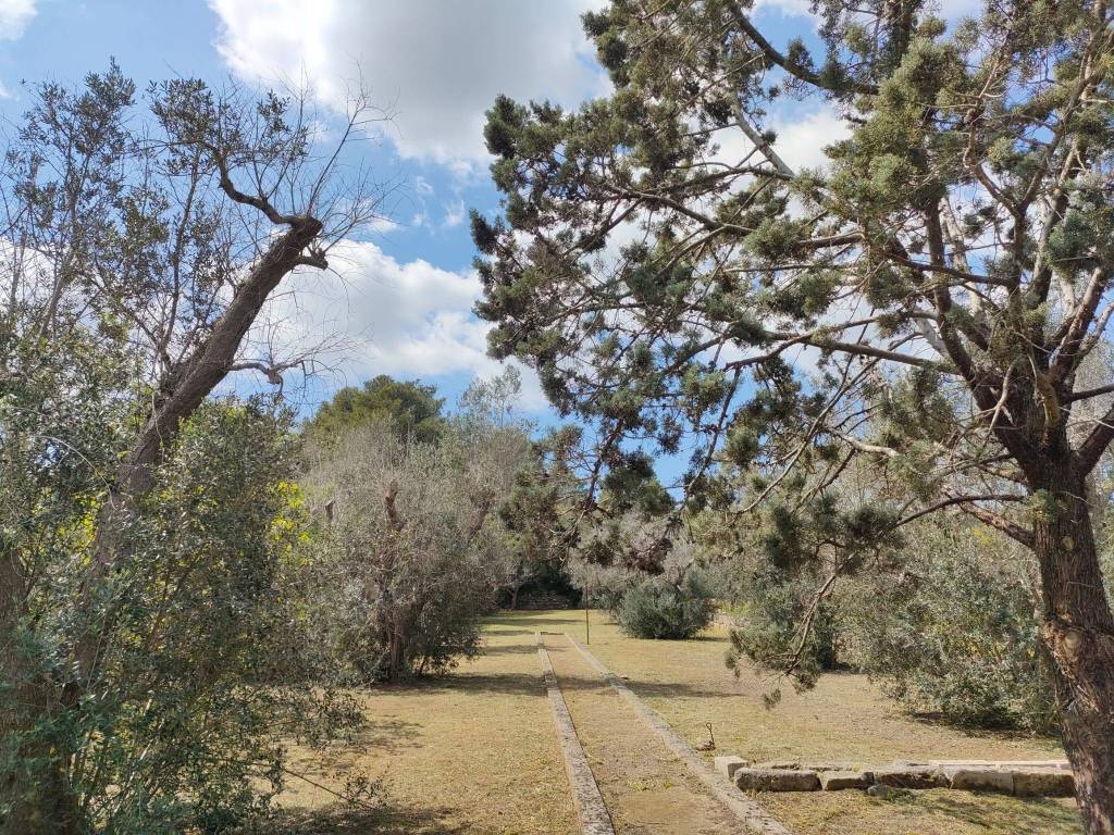 Villa a Neviano in Strada Comunale di Collepasso - Foto 5