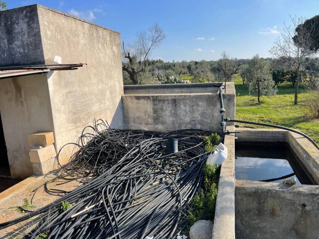 Terreno a Ugento - Foto 4