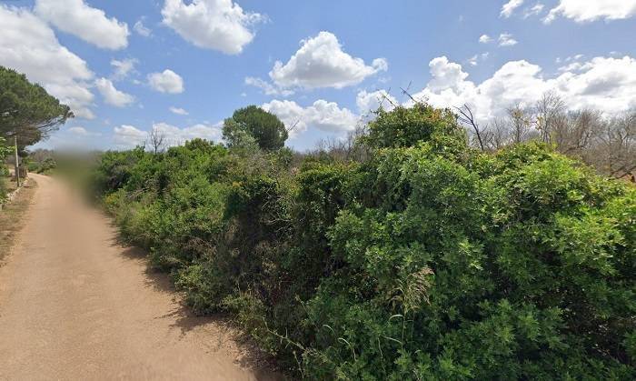 Terreno a Ugento in agro di Ugento - Foto 2