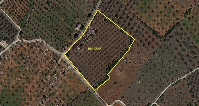 Terreno a Ugento in agro di Ugento - Foto 4