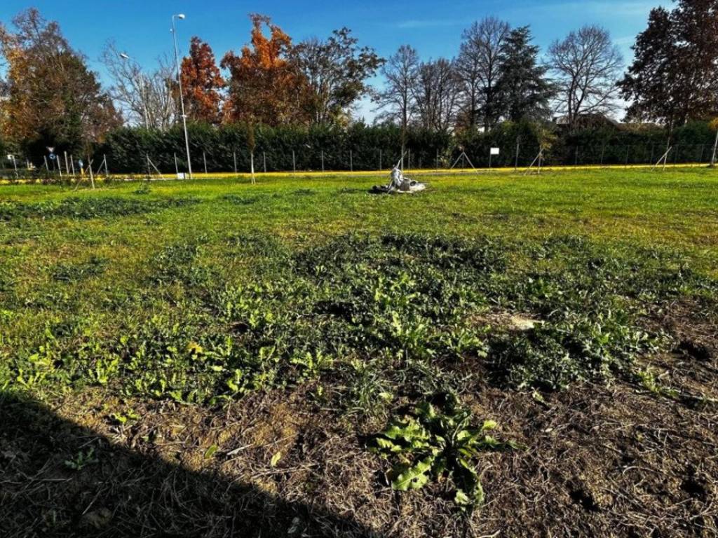 Villa a Cavezzo in Via Guglielmo Marconi - Foto 4