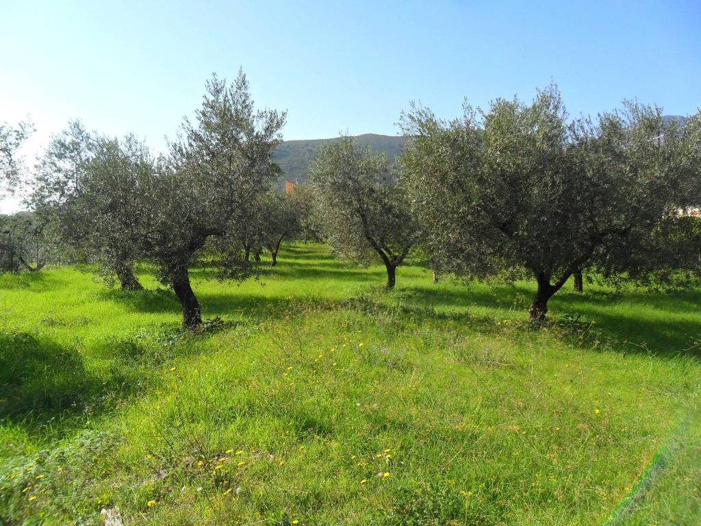 Terreno a Formia in Via Ponzanello - Foto 4