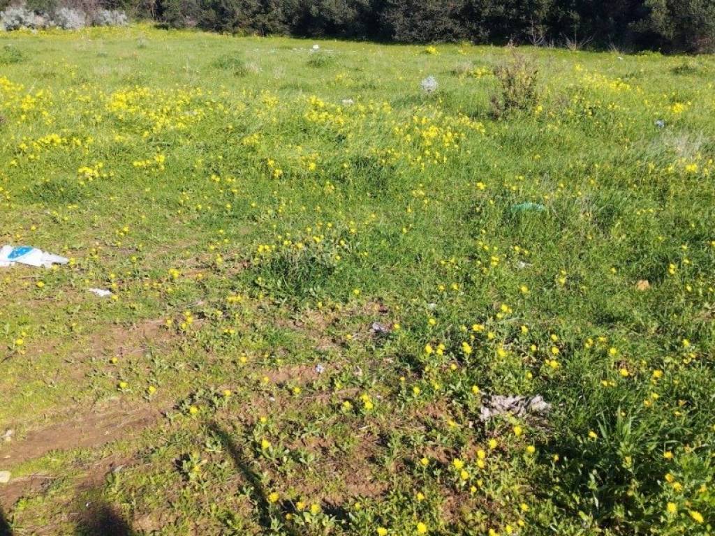 Terreno a Sorso in Via Castelsardo - Foto 4