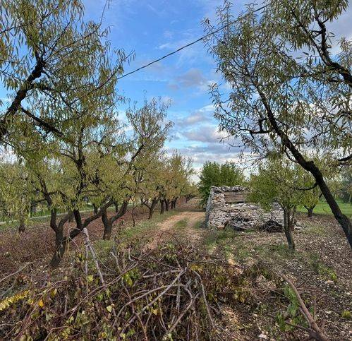 Terreno a Corato in Sp234 - Foto 3