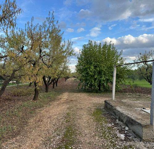 Terreno a Corato in Sp234 - Foto 4